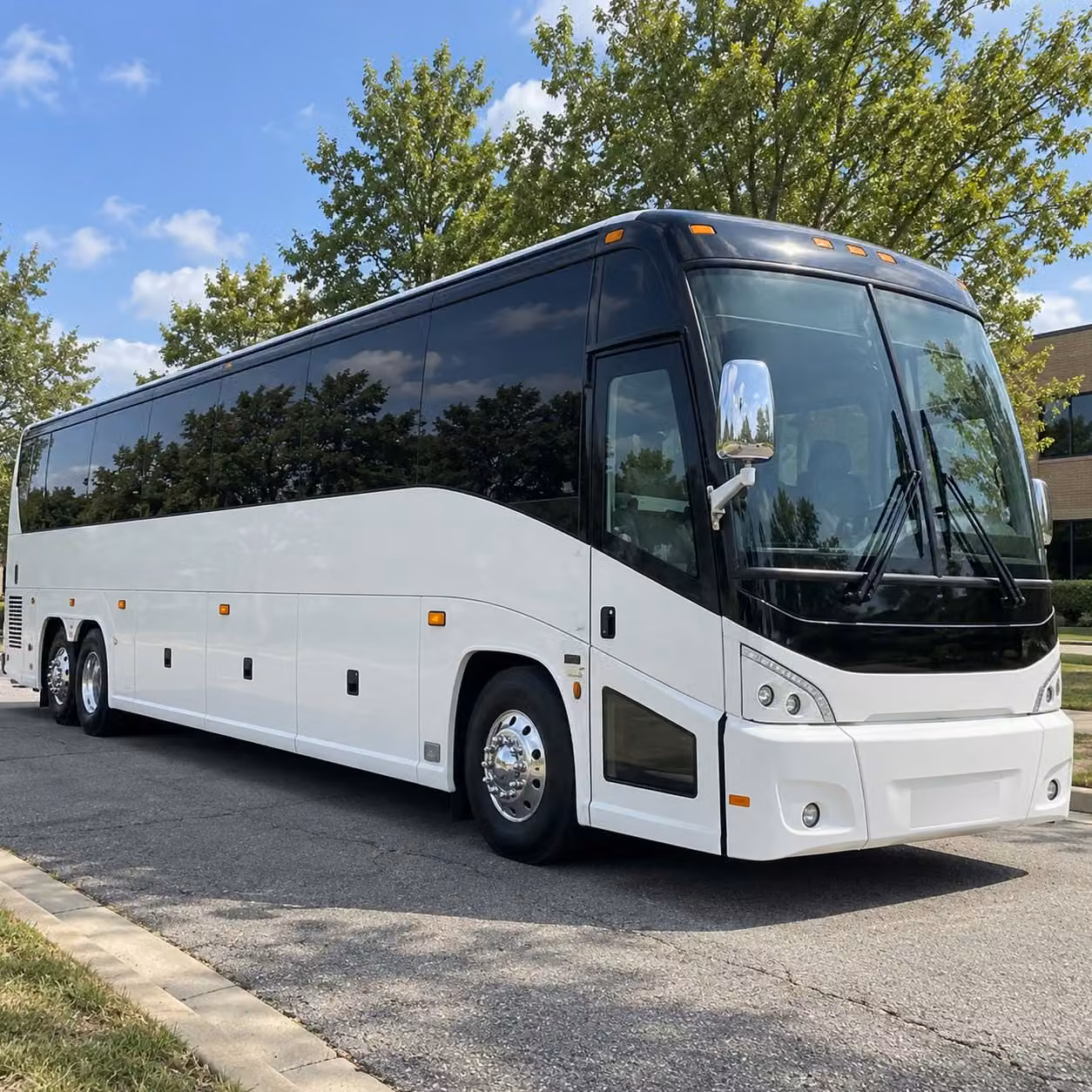 norfolk zoo and outdoor field trip transportation